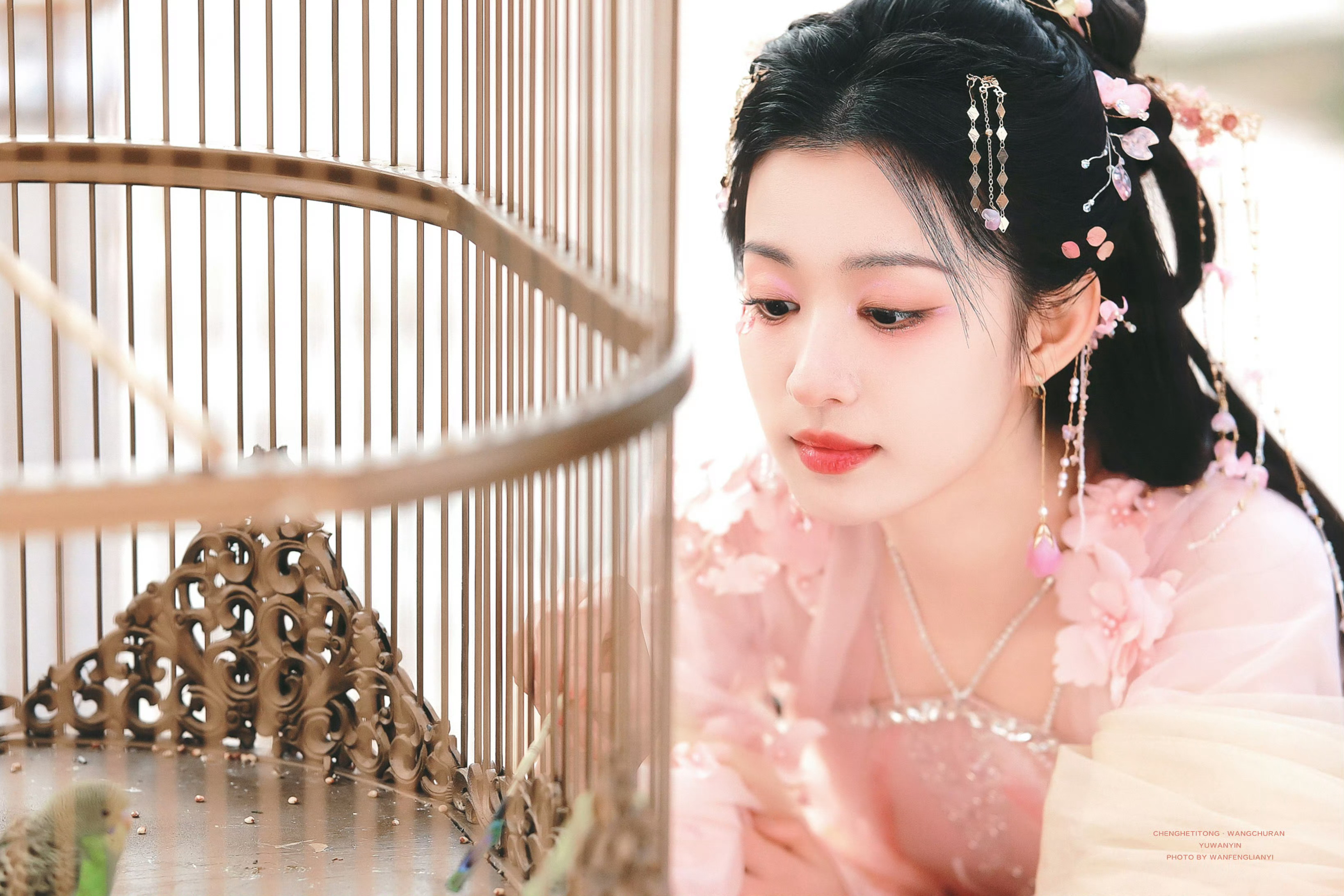 恭喜王楚然第一部一番剧成何体统全集有广王楚然看与妻书哭了 王楚然