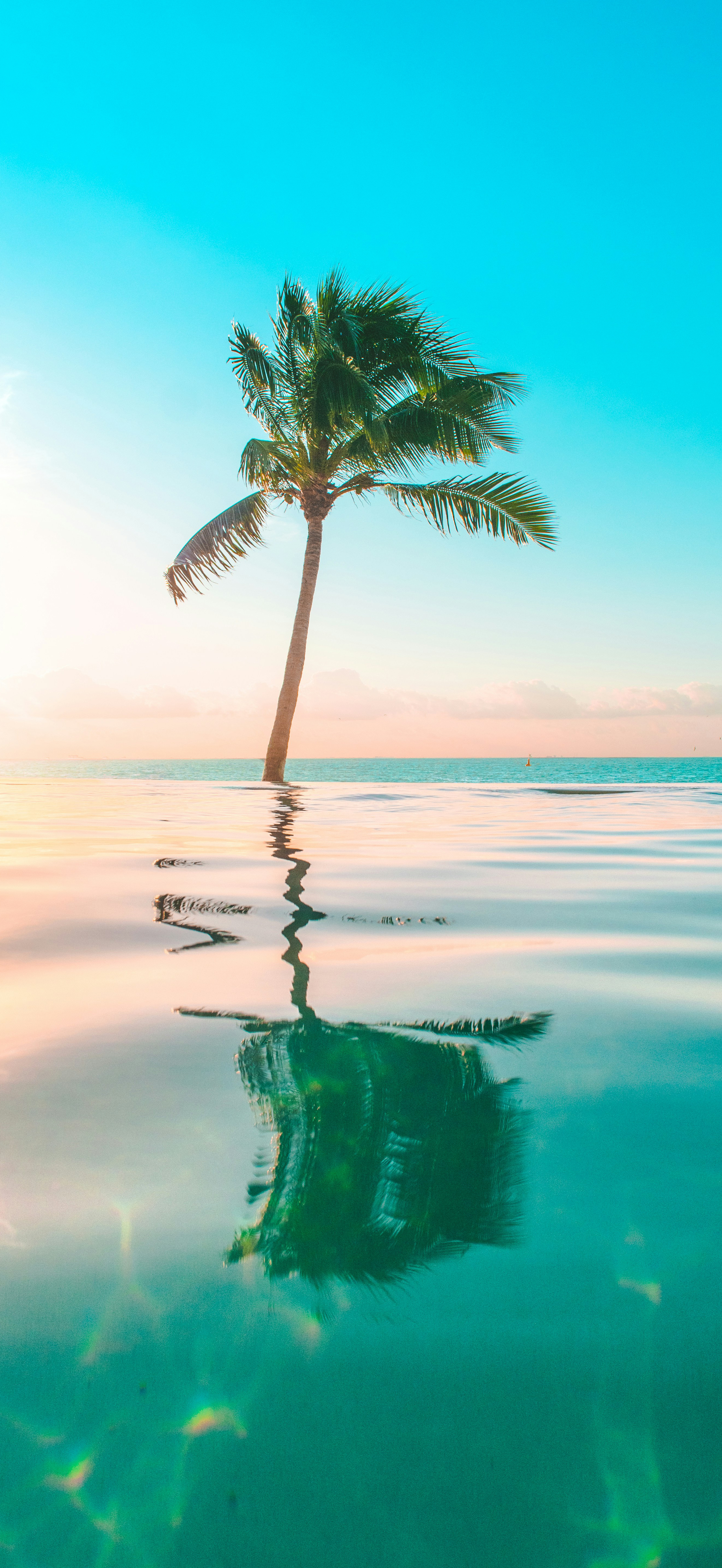 兄弟们早。阿牙带着壁纸方队走来了风景壁纸