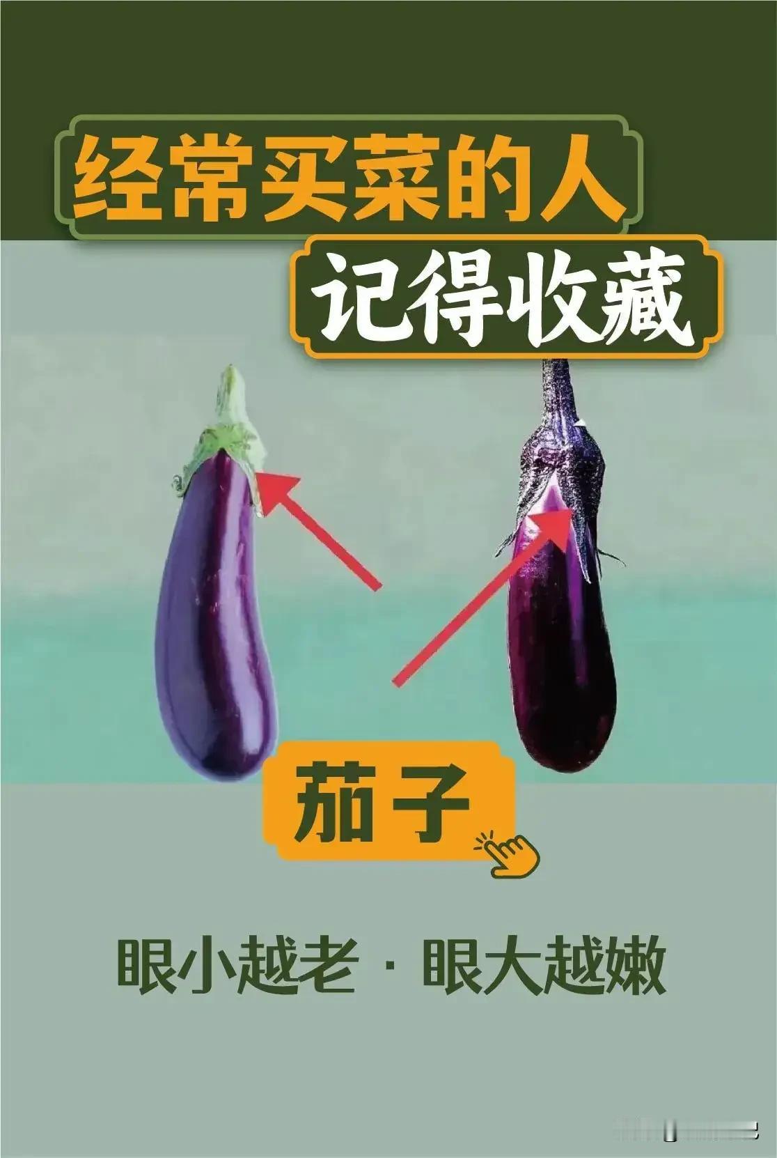 日记 生活日记