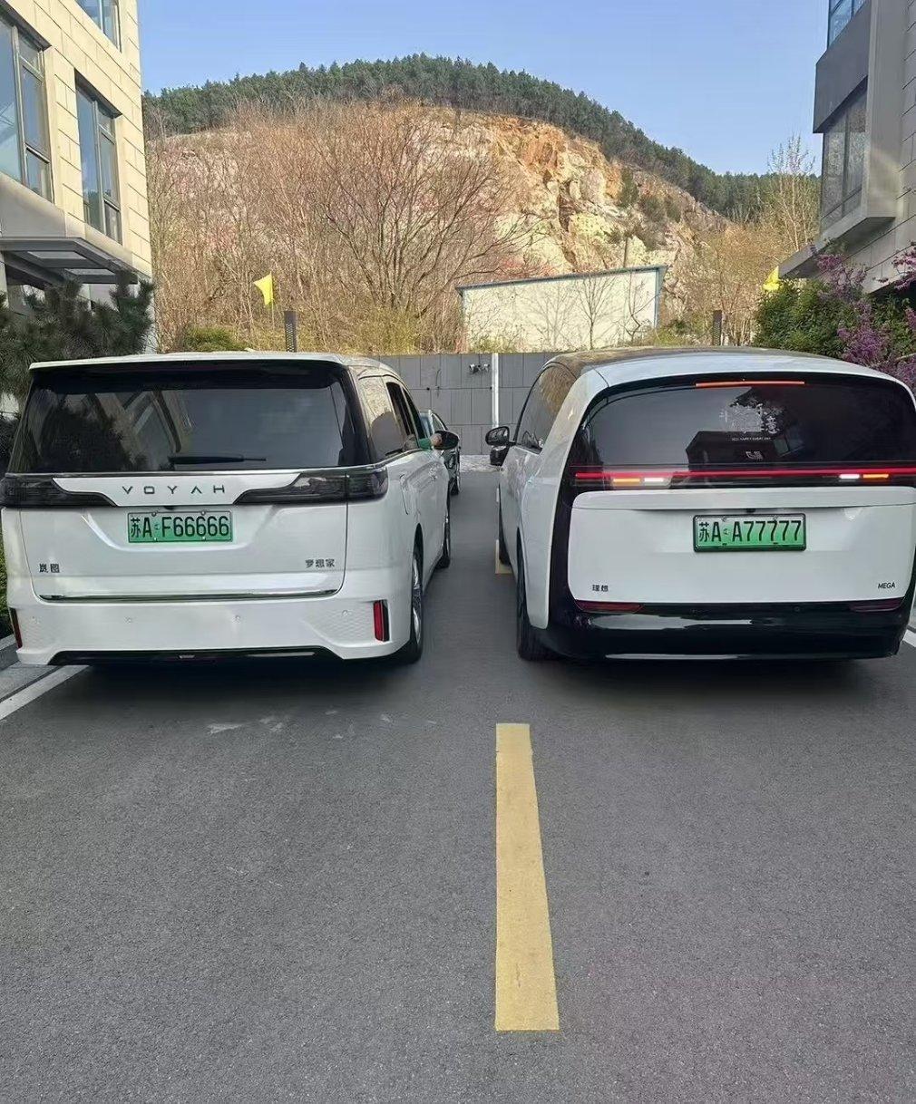 讲真，我觉得MEGA的屁股很………可爱[挖鼻] ​​​
