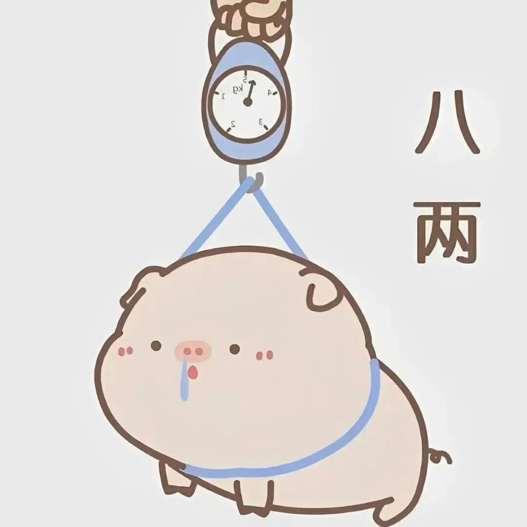 🐖🐖🐖🐖🐖🐖🐖🐖  专栏 · 氪金专栏