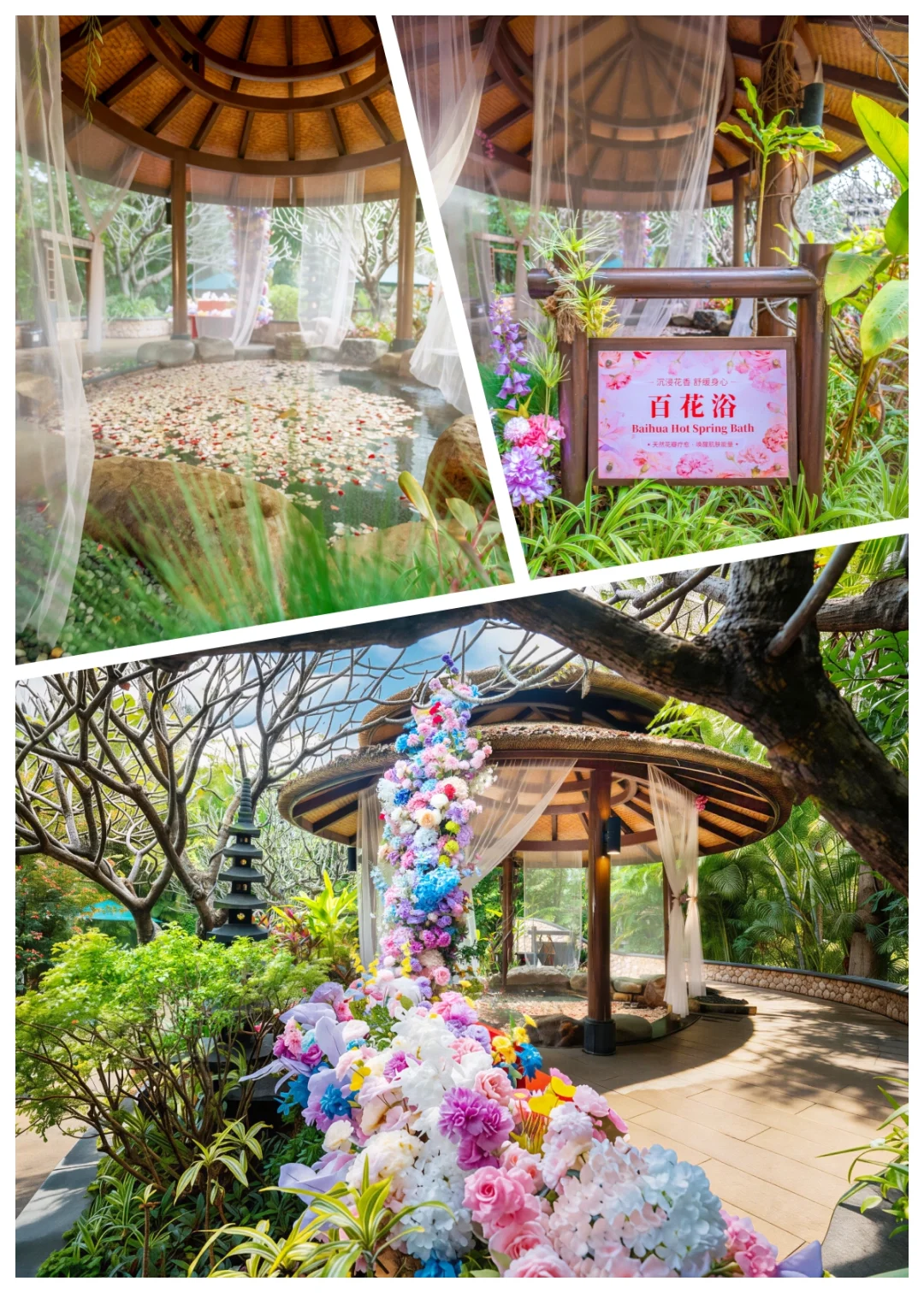 被问爆的厦门百花浴！泡进花瓣里的浪漫🌸