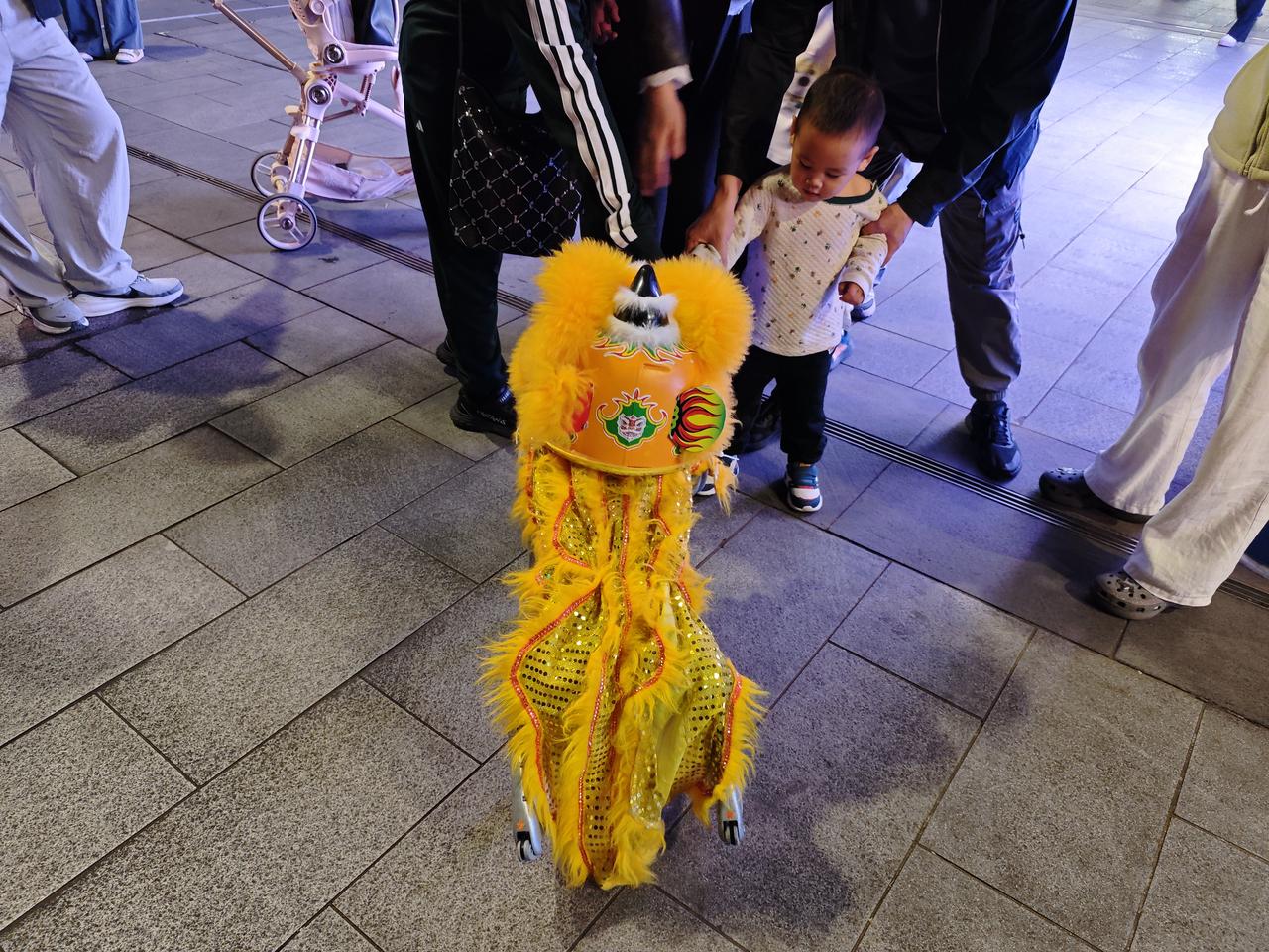 昨天晚上杭州西湖湖滨路机器狗引来众多游客观看，小朋友更是对新奇的机器狗充满好奇，