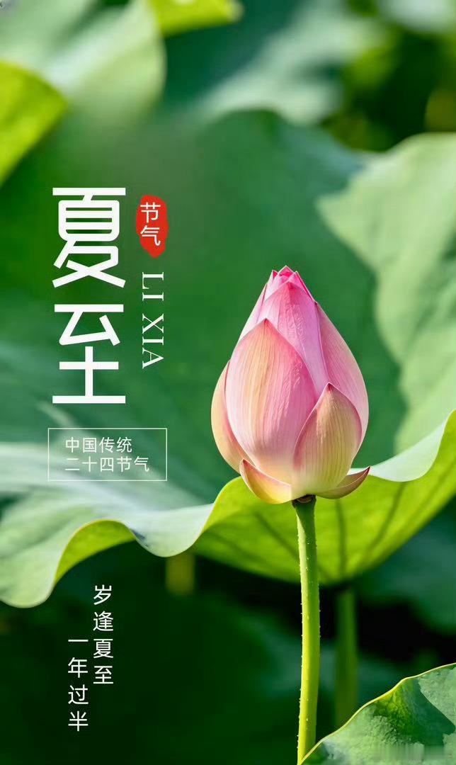《男儿当自强  (国语) 》 ， （《黄飞鸿》电影主题曲）男儿当自强 