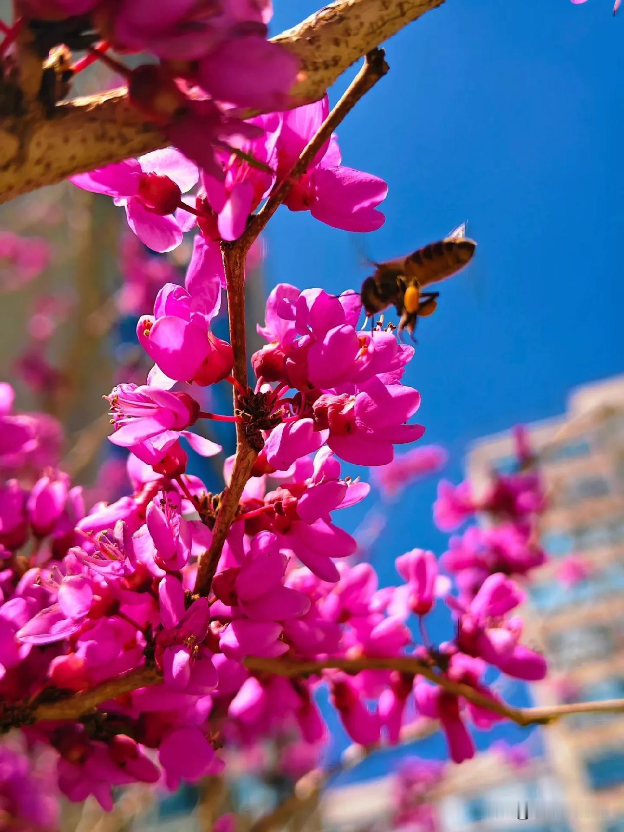 前半生疲于奔命，向外索求；后半生应顿悟觉醒，向内扎根。 专注自身，才是安身立命的