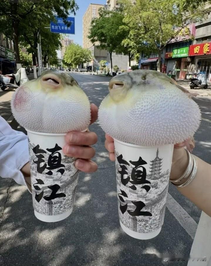 谁在镇江，帮我带两份这个！！！