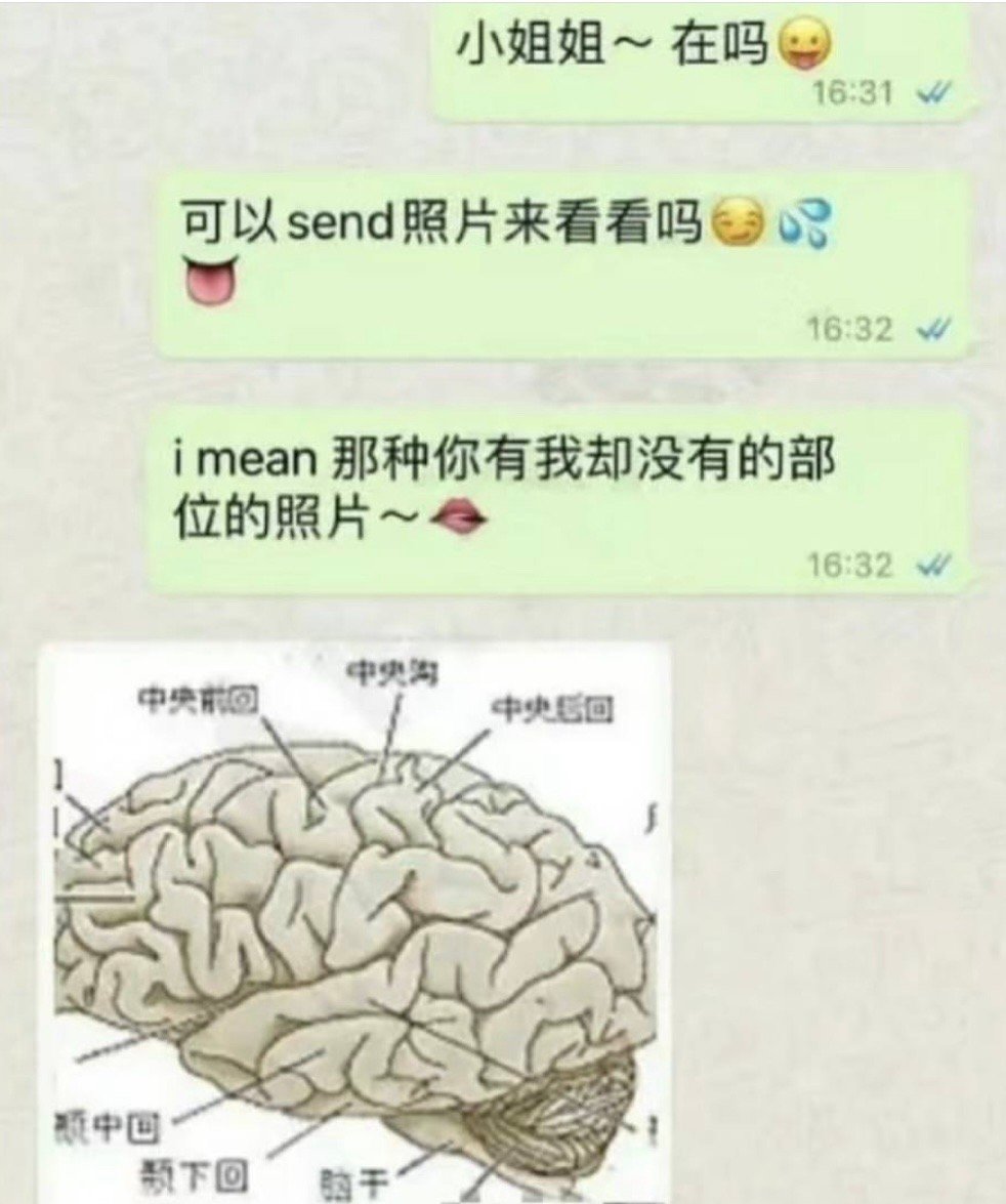好骂#meme# ​​​