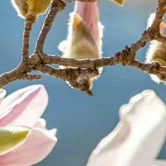 善良是流动的暖阳，你传递的善意终会照亮归途。善念是星，点亮得越多，越能驱散黑暗；