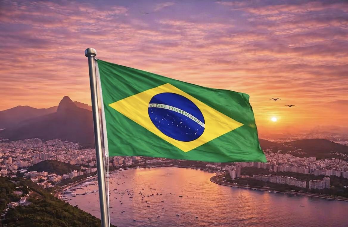 昨日消息，
巴西官方宣布了！
  3月15日，巴西官方宣布，即日起对从中国和印度