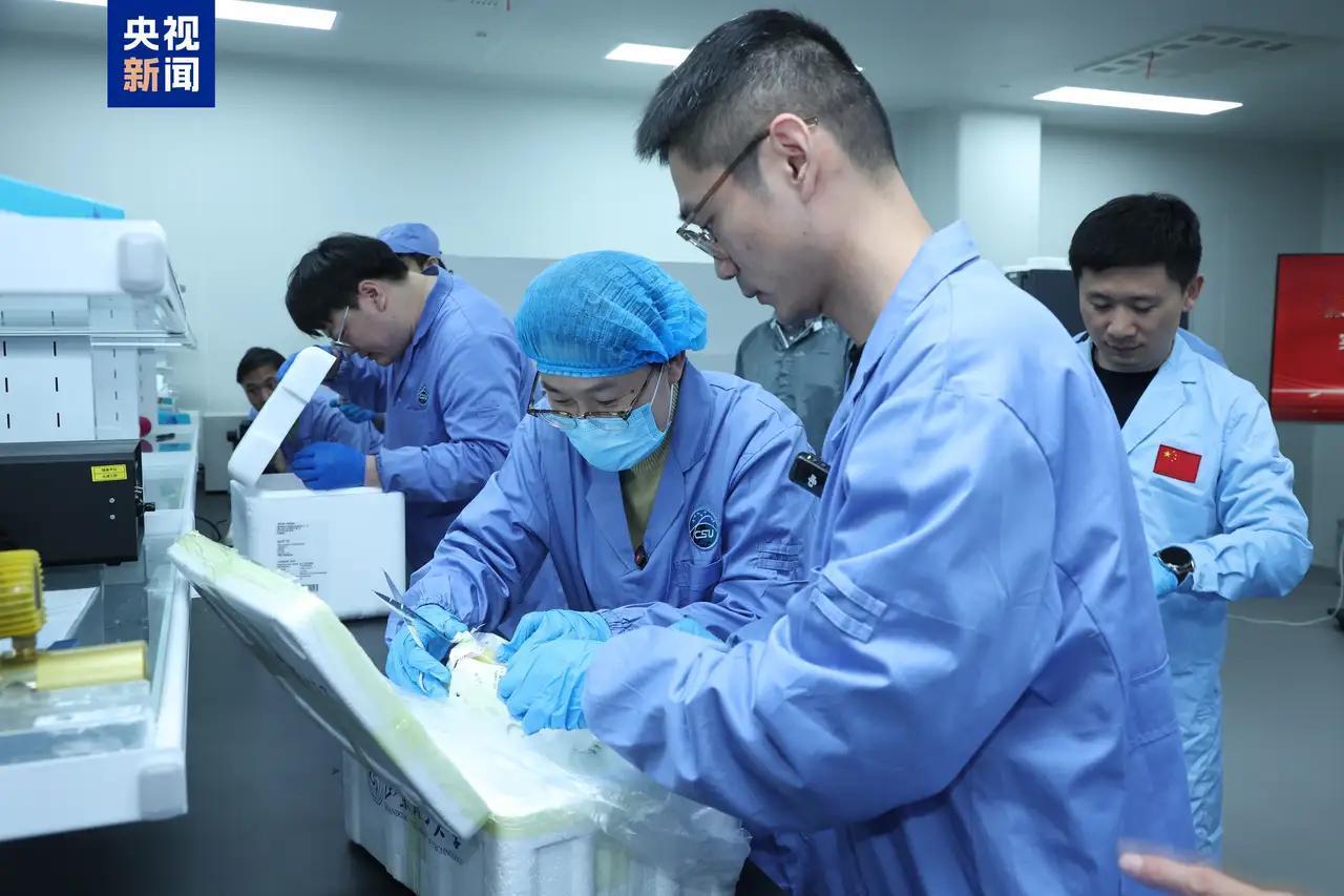 未来已启航：期待中国空间站推动人类科学新纪元
随着中国空间站第九批实验样品的顺利