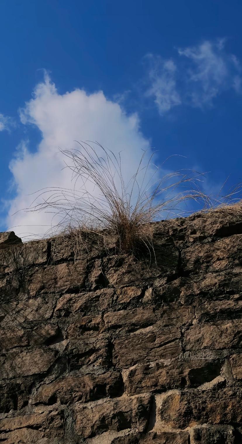 有人跟我一样能睡吗？
每天晚上睡十个小时，白天还要睡两个小时。

有人说我睡眠真