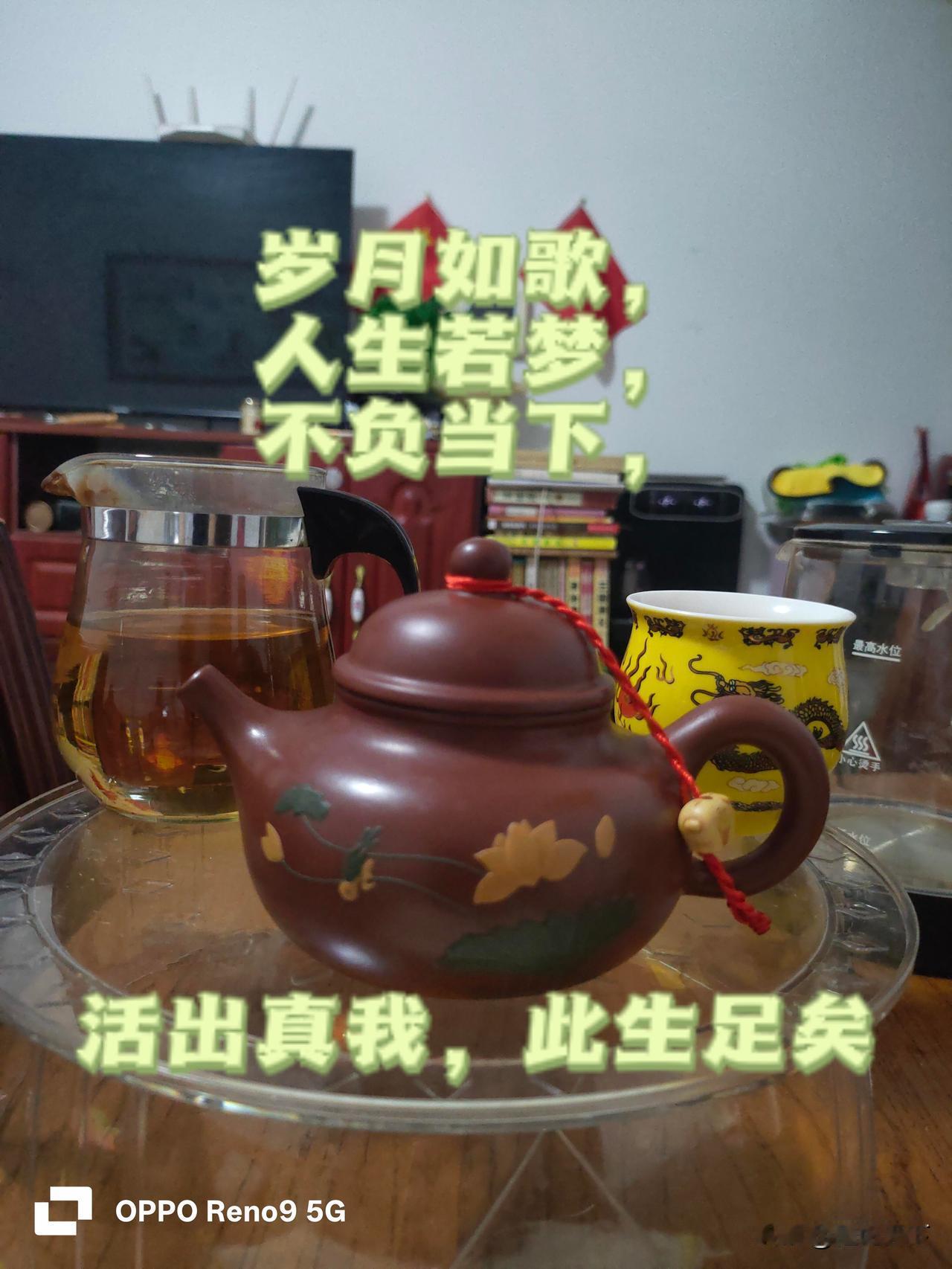岁月如歌，人生若梦，不负当下，活出真我，此生足矣
老程晨起感悟：
一辈子弹指一挥