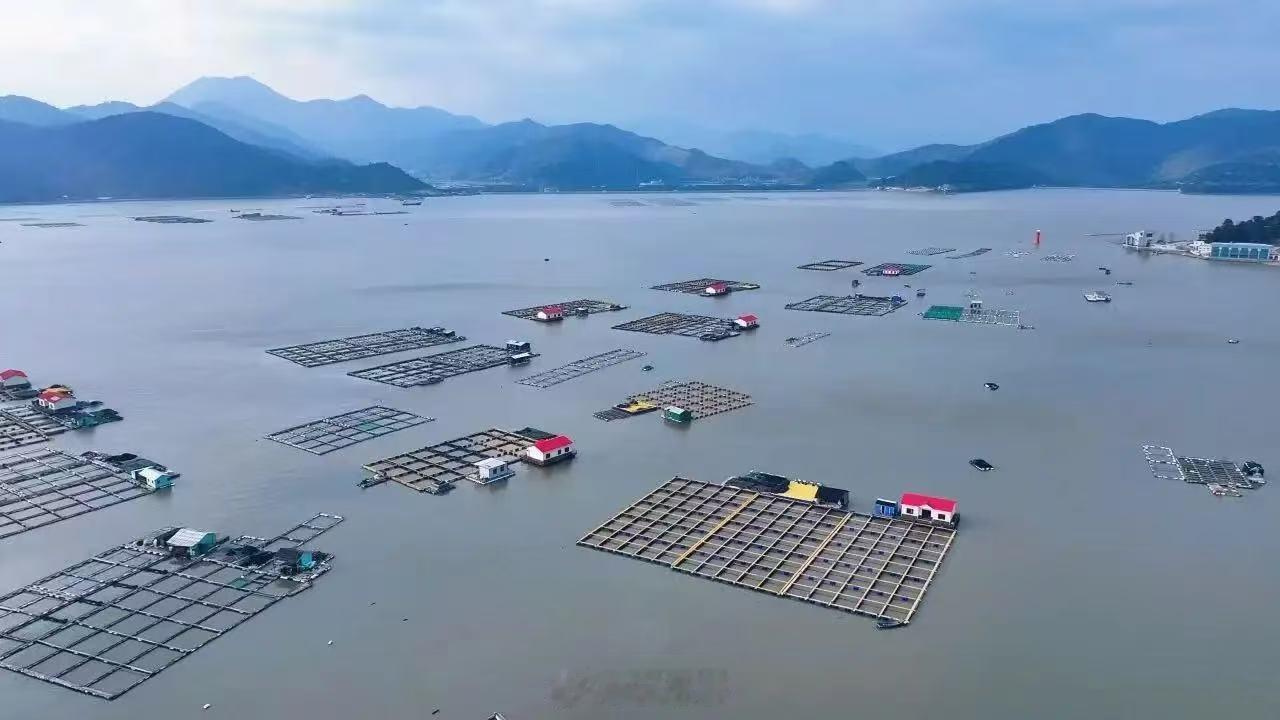 象尚象行 【宁波象尚象行深耕土特产助力乡村共同富裕 】5月27日，浙江日报报道象