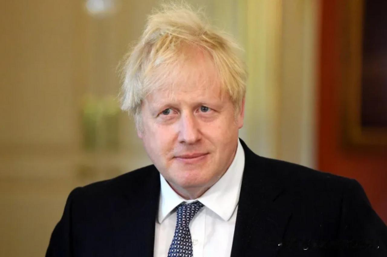 综合外媒报道，结束基辅雅尔塔欧洲战略论坛的英国前首相约翰逊等外国政要，在回程临近