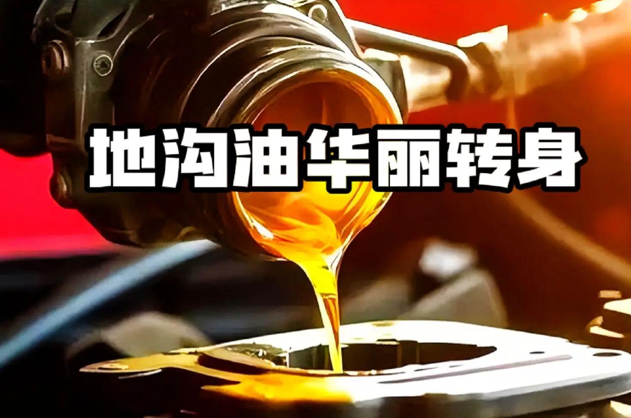国内首次！
餐厨废油变航油！
国航完成 SAF 全链条闭环

国内可持续航空燃料