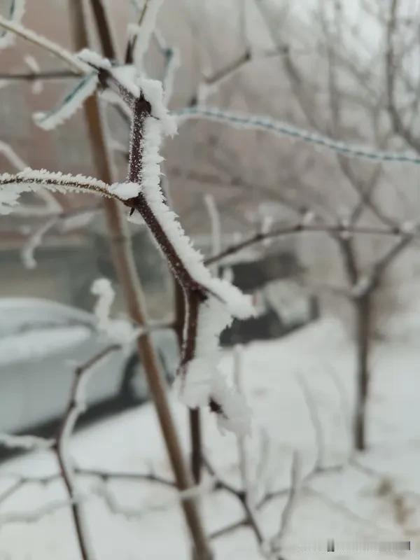 看到“寒风寒雪寒中来”这个上联，我也来了兴致琢磨下联。有个下联是“暧日暧云暧春归
