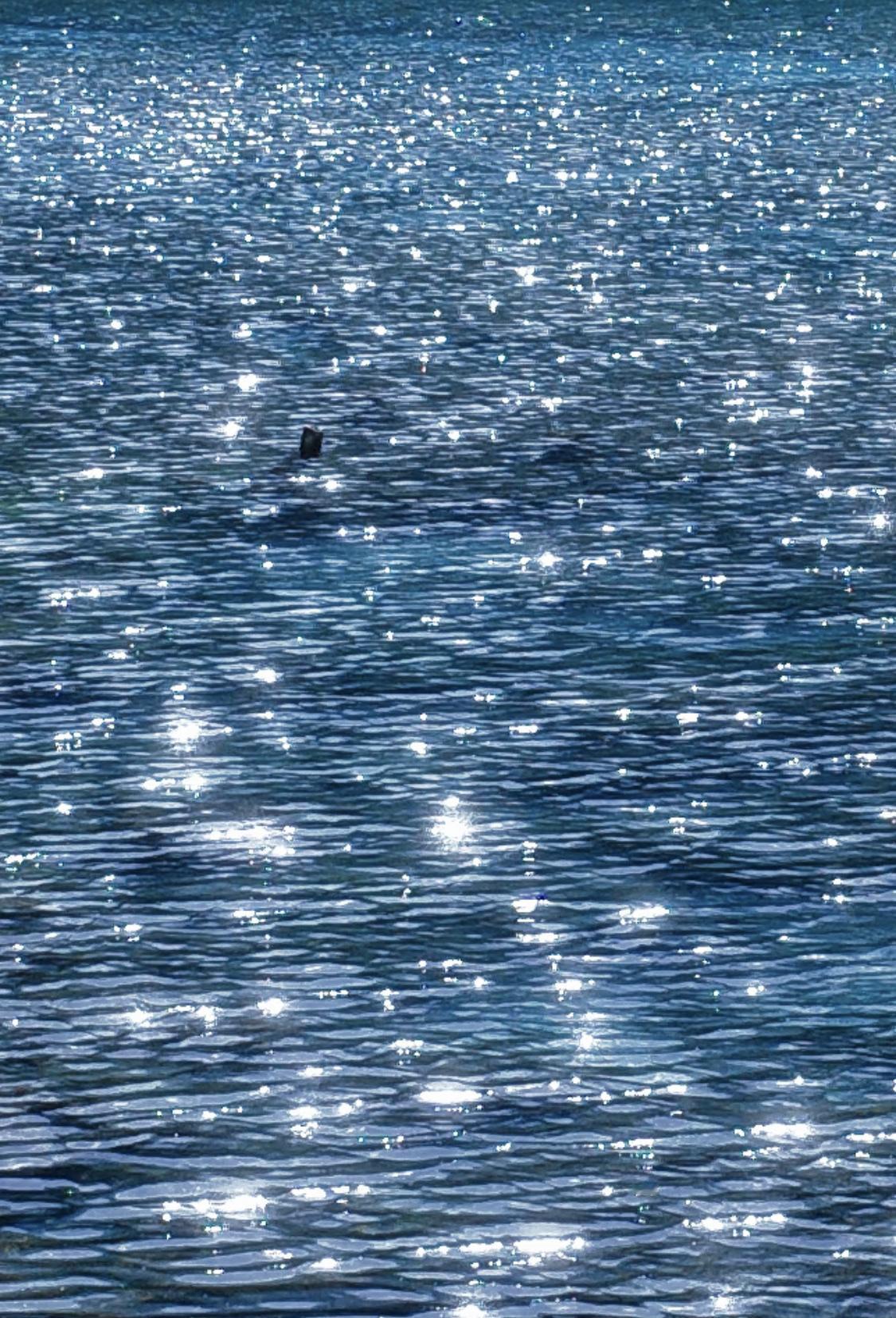人一定要大量读书！

我发现长期读书的人都有一个共性：

麦家说：

“读书多的