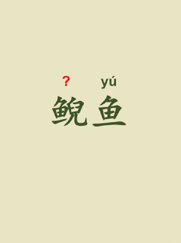 今天来学习——鲵鱼🐟
