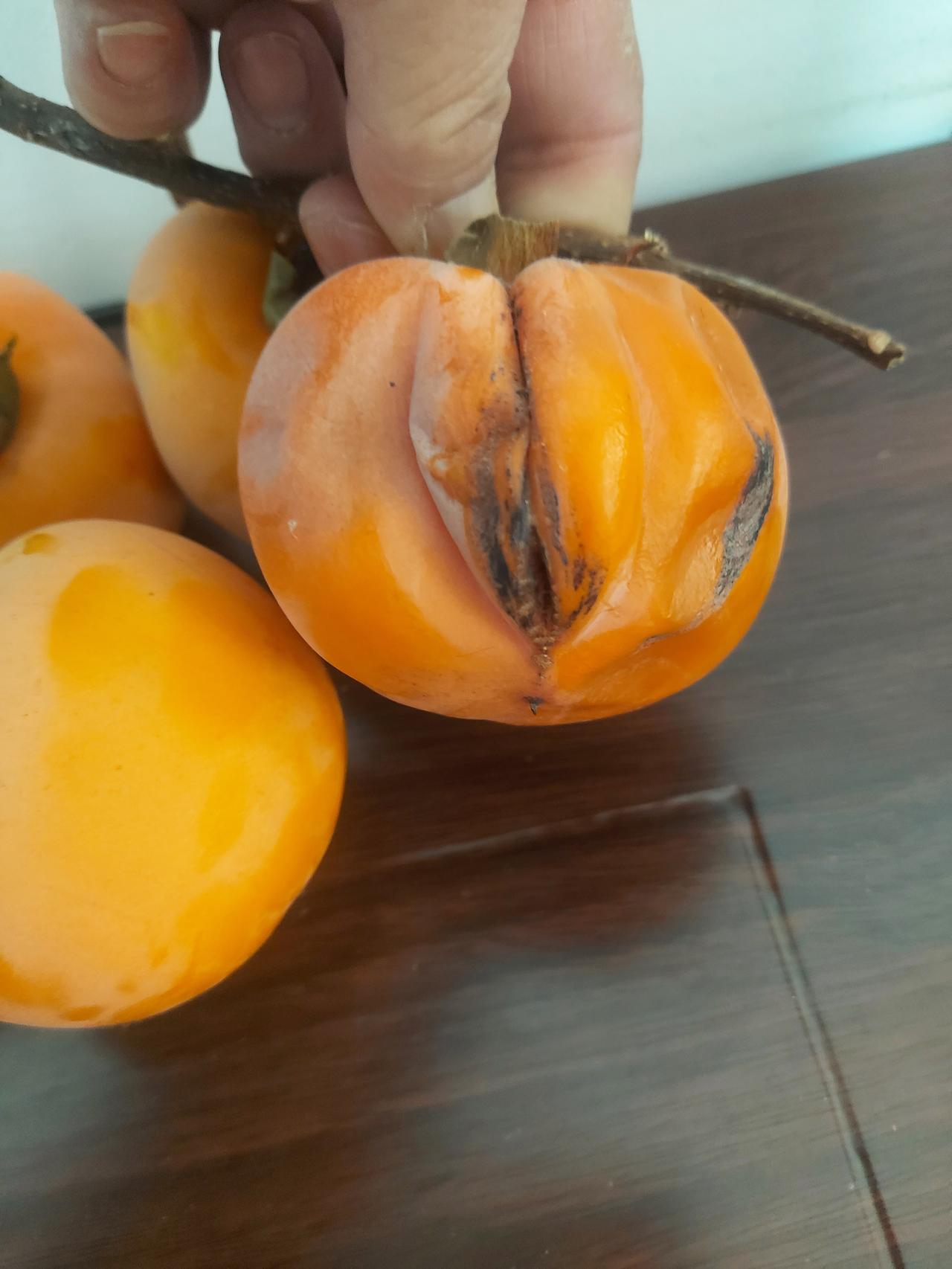 项立刚说：
​前一段我和黄斌一起吃饭，我们两个人有7个孩子，4个硕士学位，对了，