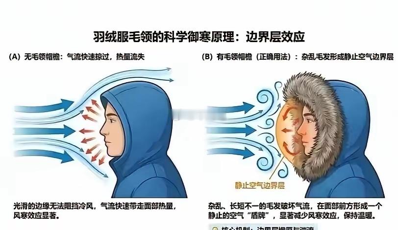 爱斯基摩人没穿错，羽绒服毛领外翻才科学 ！ 
