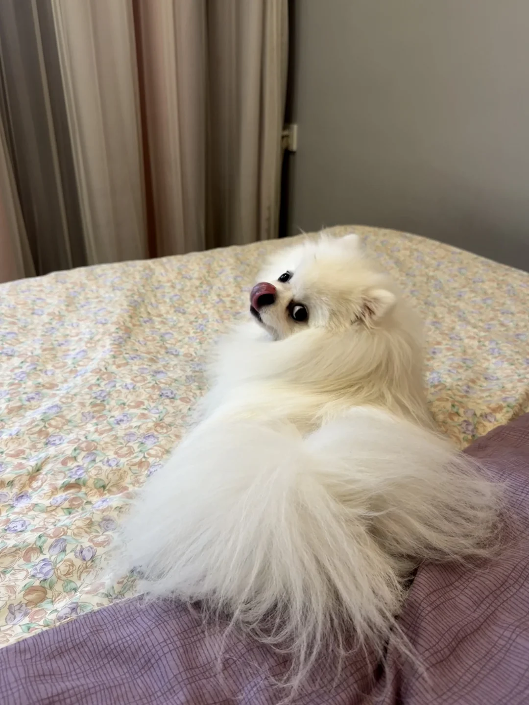 美男子要睡觉了哦~