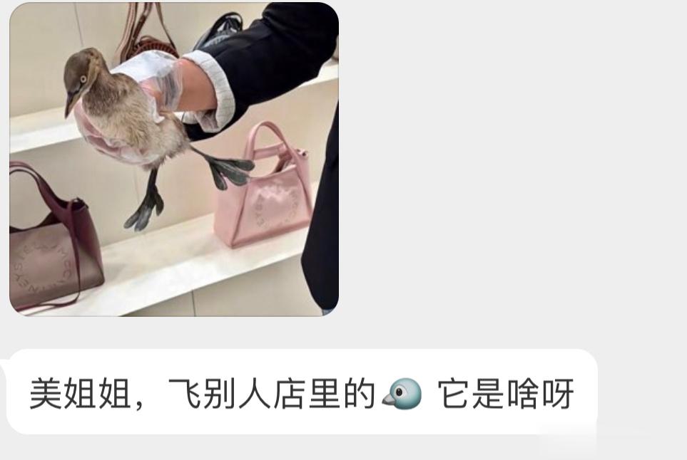 脚丫子很特别的【小xiǎo䴙䴘】导航导错了🙊飞人家店里了找个小河放了就行哦 ​