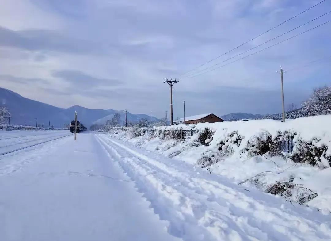 山舞银蛇，原驰蜡象，兴安岭上雪茫茫……