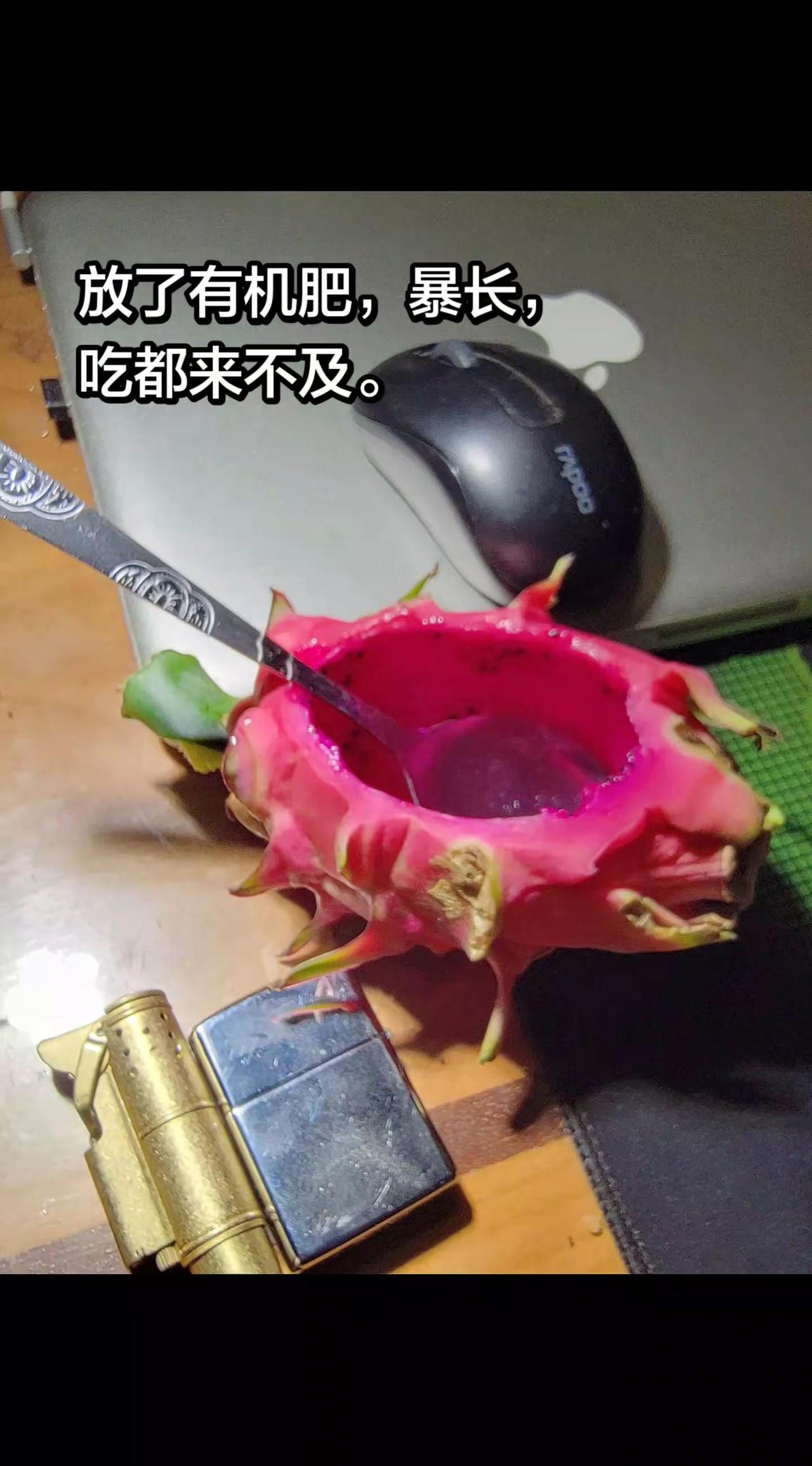 火龙果。