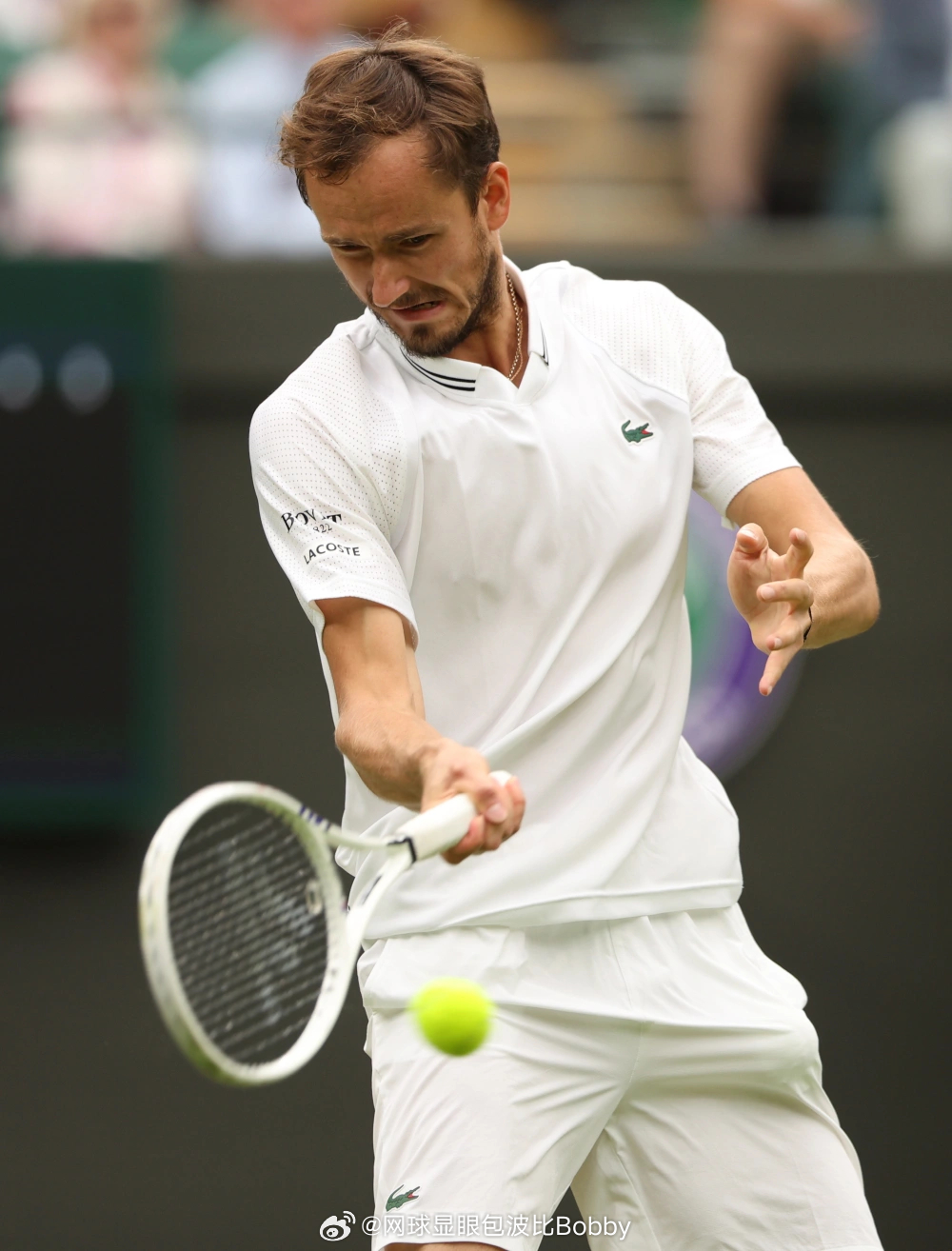 梅德韦杰夫收退赛礼夺迪拜赛冠军 梅德韦杰夫之前的22个冠军都是在22个不同城市这