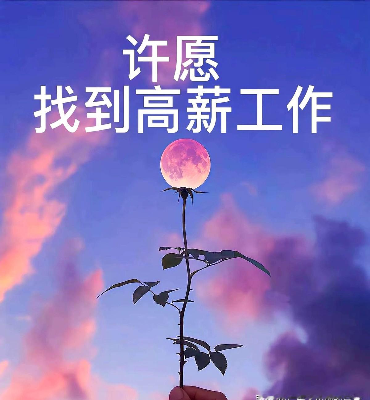 找工作不要找工资低的，因为工资太低你也干不了多久。

拿着月薪3000干着月薪三