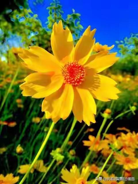 情有多贵，爱就有多贵，生命无价，请善待自己

如果有一天，你突然发现最珍贵的东西