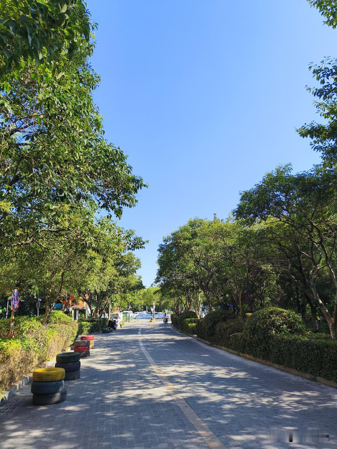 2026年8月7日19点42分迎来立秋，农历为六月二十五，这时间组合着实有些杂乱