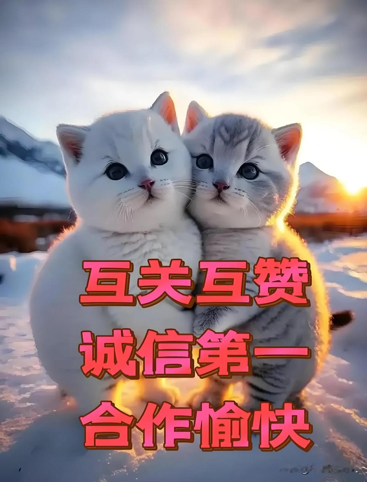 我是活跃粉，铁粉，求互，
