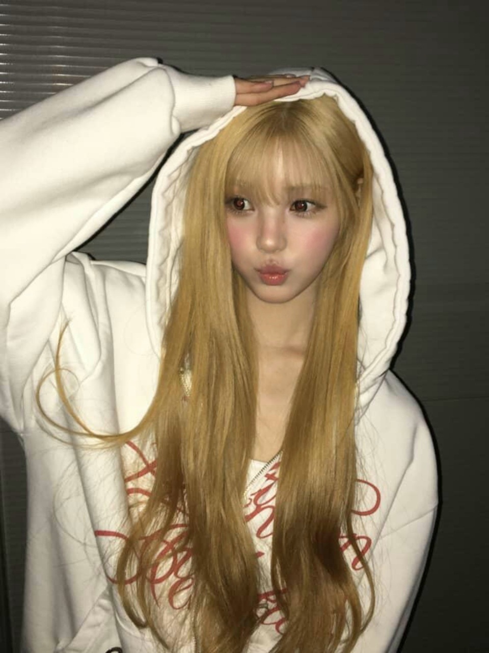 260427 wvs🤍yuha's wvs