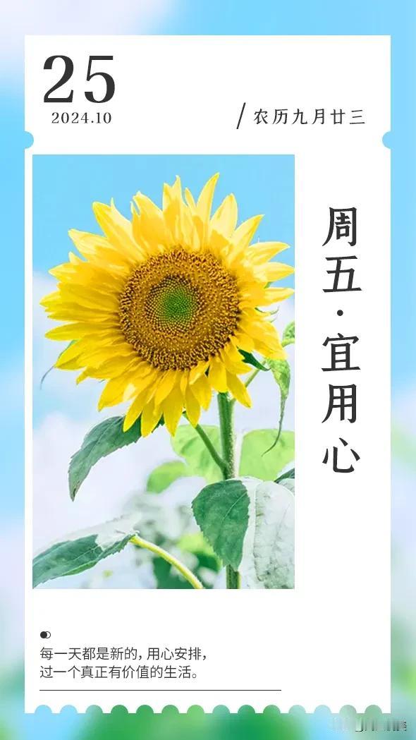 生活像花一样
不为别人，只为自己绽放
做最绚丽的自己
#秋日生活打卡季##阅文悦