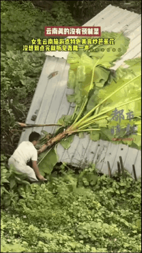笑不活了，女子到云南旅游，进店点了道特色菜炒芭蕉花，结果下单后老板就不见了踪影。
