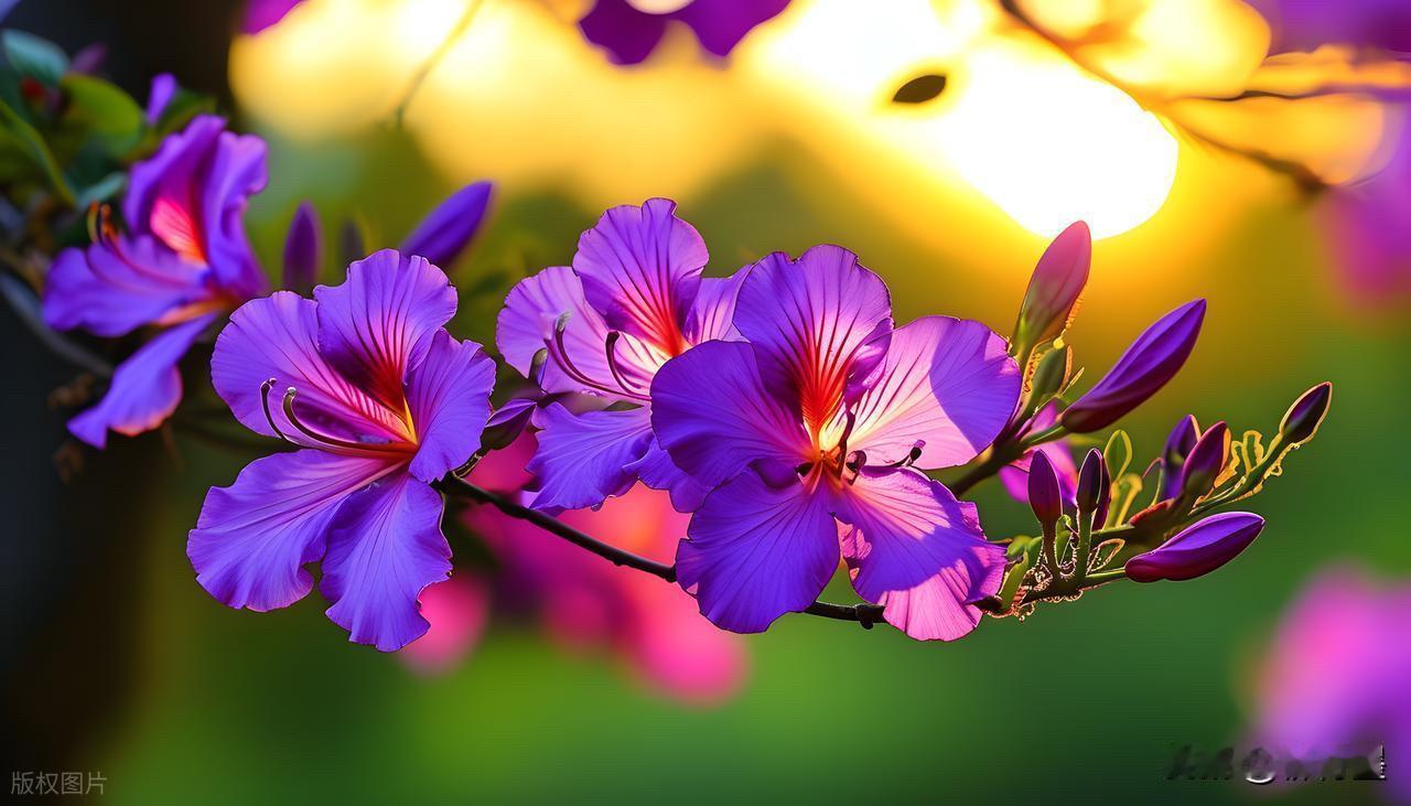 仔细瞅瞅，这两张照片有什么问题呢？
照片拍得不好看？是有原因的。
要么是想要拍的