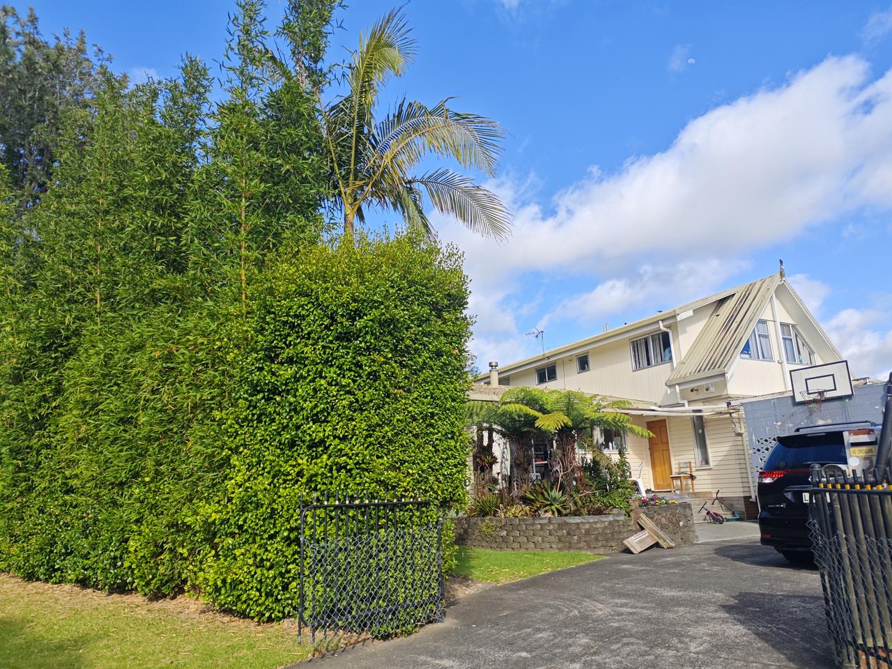 喜欢私密的奥克兰民居

在家待了十天，腰疾逐渐恢复，早晨起来后走出家门，试着稍微