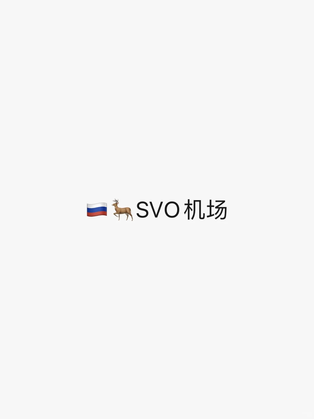 马上离开莫斯科机场