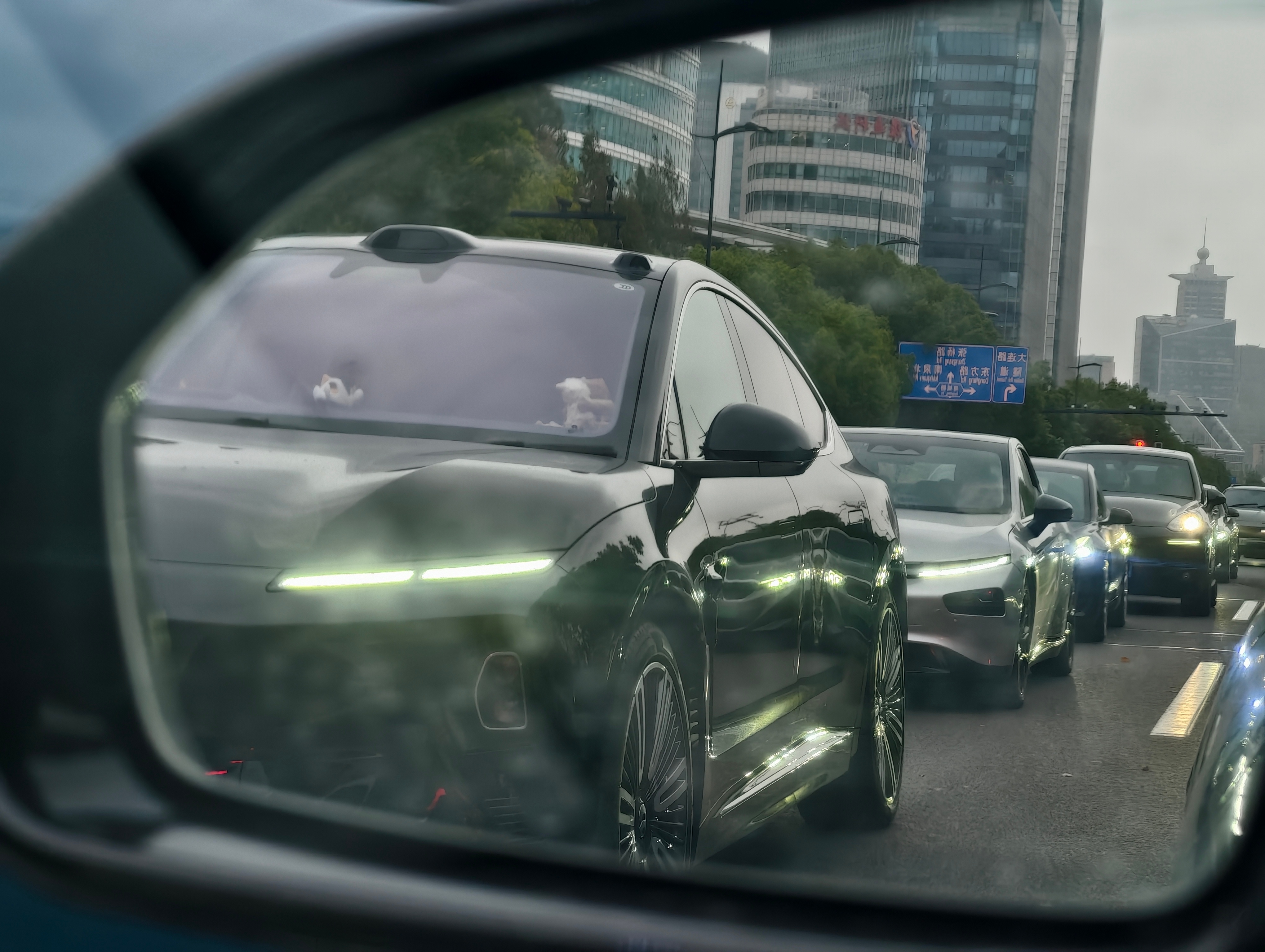 上海今天降温，上班路上随便拍张照片就很有氛围感早啊～