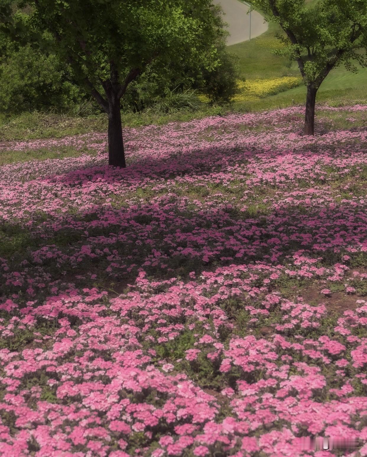 今年春天最想实现的心愿今年春天最想实现的，是给自己一点小改变。提高工作效率，戒掉