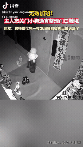 浙江，因为房门没有关紧，这只狗狗连夜当“搬运工”，花七小时把门口鞋子全挪进屋，满