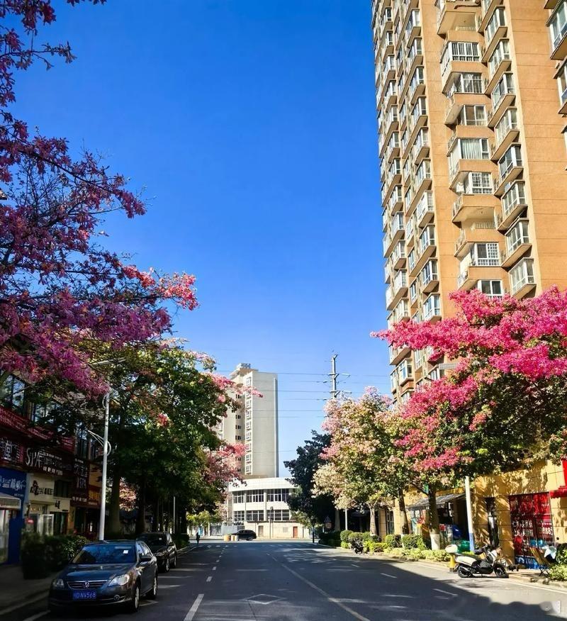 心里话        大气之人不争高低，豁达之人不计得失，坦荡之人笑对风云变幻。