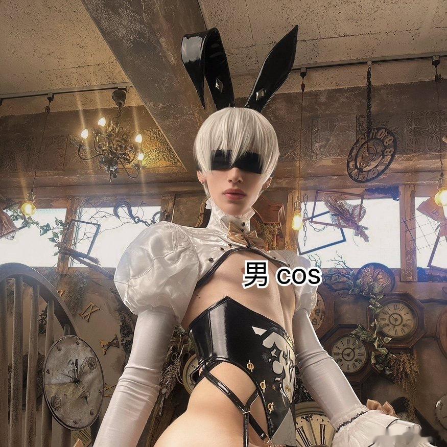 喜欢兔子🐰 
