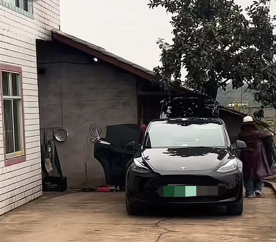 重庆合川呆呆已发出公告，2026年1月24日会开启刨猪汤后的首场直播。很多网友在