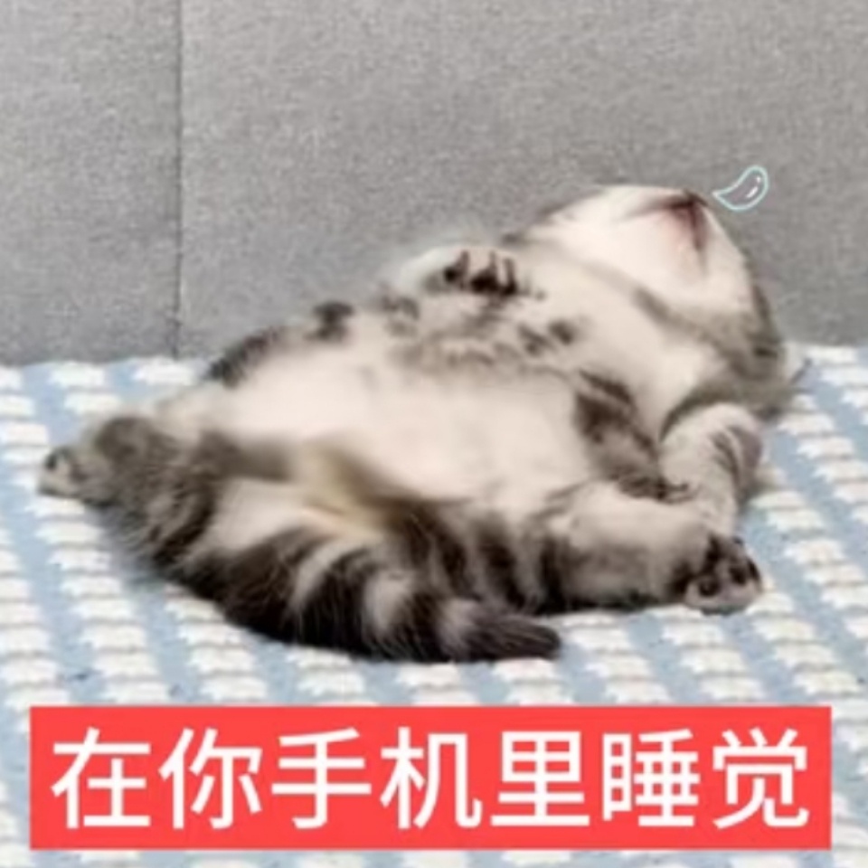 谁发明的睡觉捏，太舒服了 