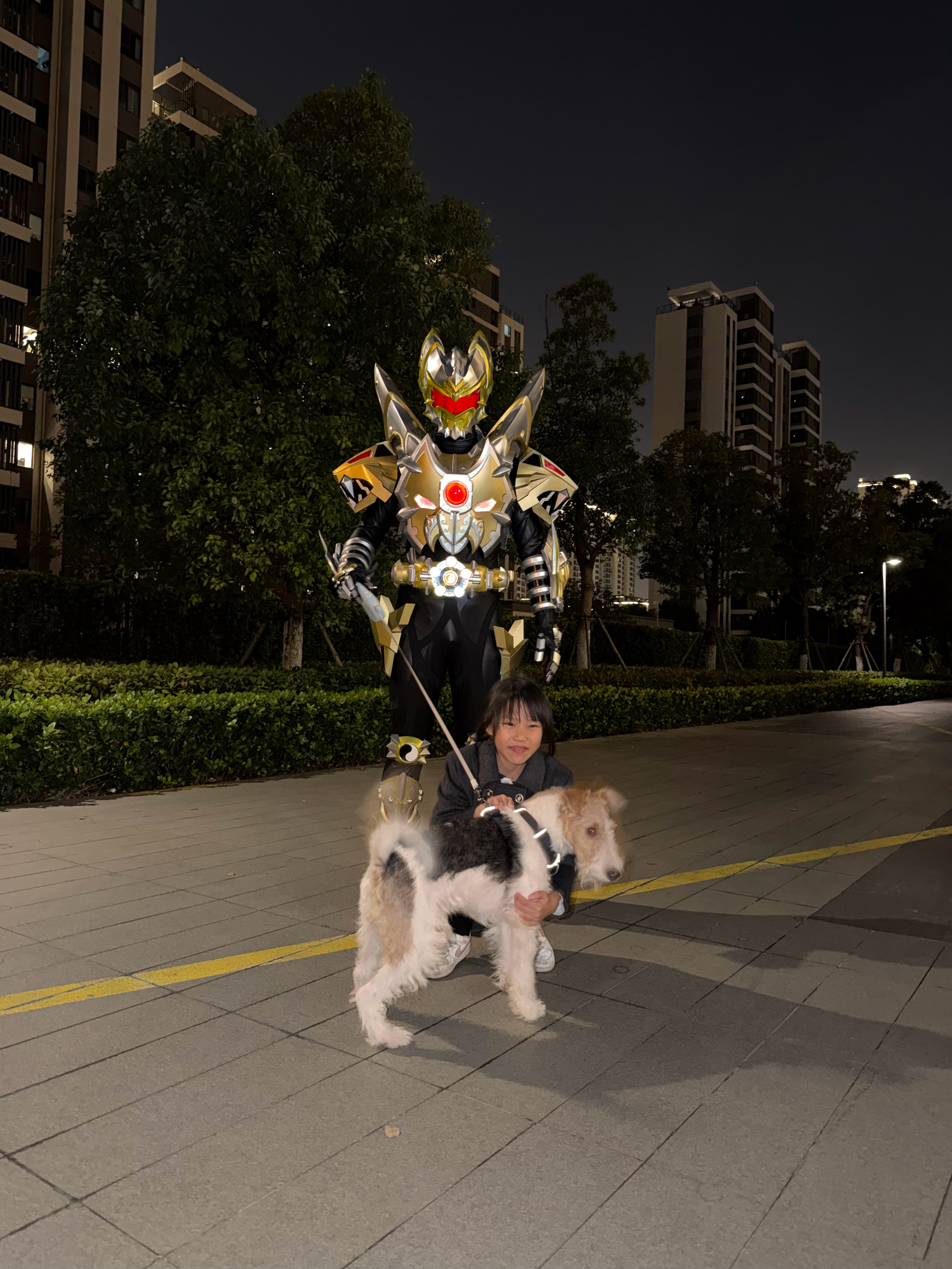 早上好啊，昨晚铠甲勇士来我家遛狗了 