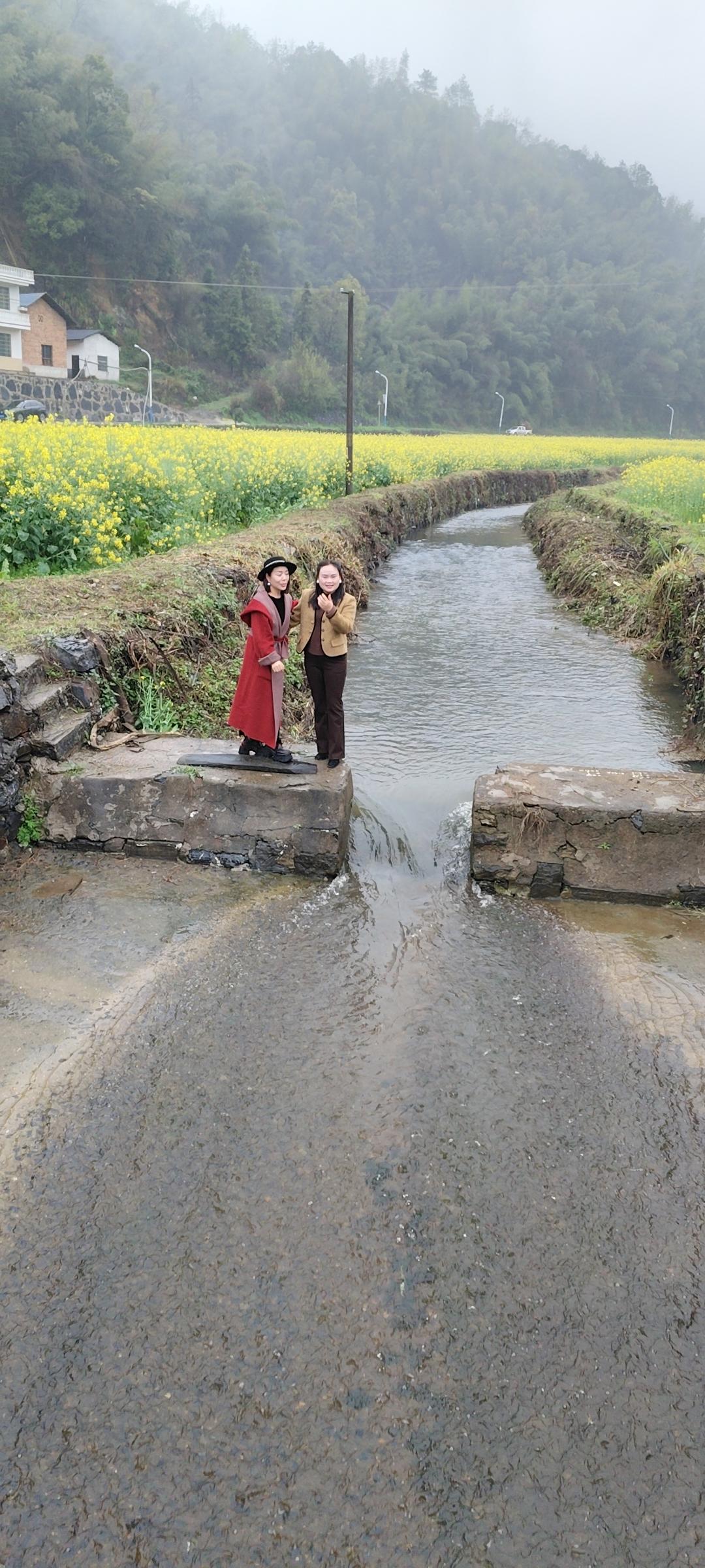 春日生活打卡季 今年春天这雨真是没完没了，毛毛细雨一下就是好久。晚上那一阵一阵的