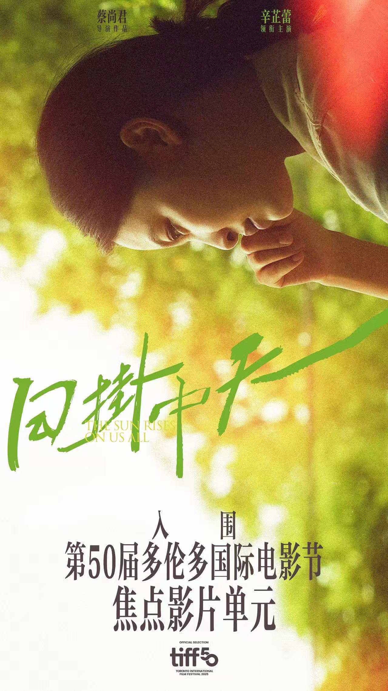 辛芷蕾一番主演的《日掛中天》在入围威尼斯电影节主竞赛后再次入围多伦多电影节，至此