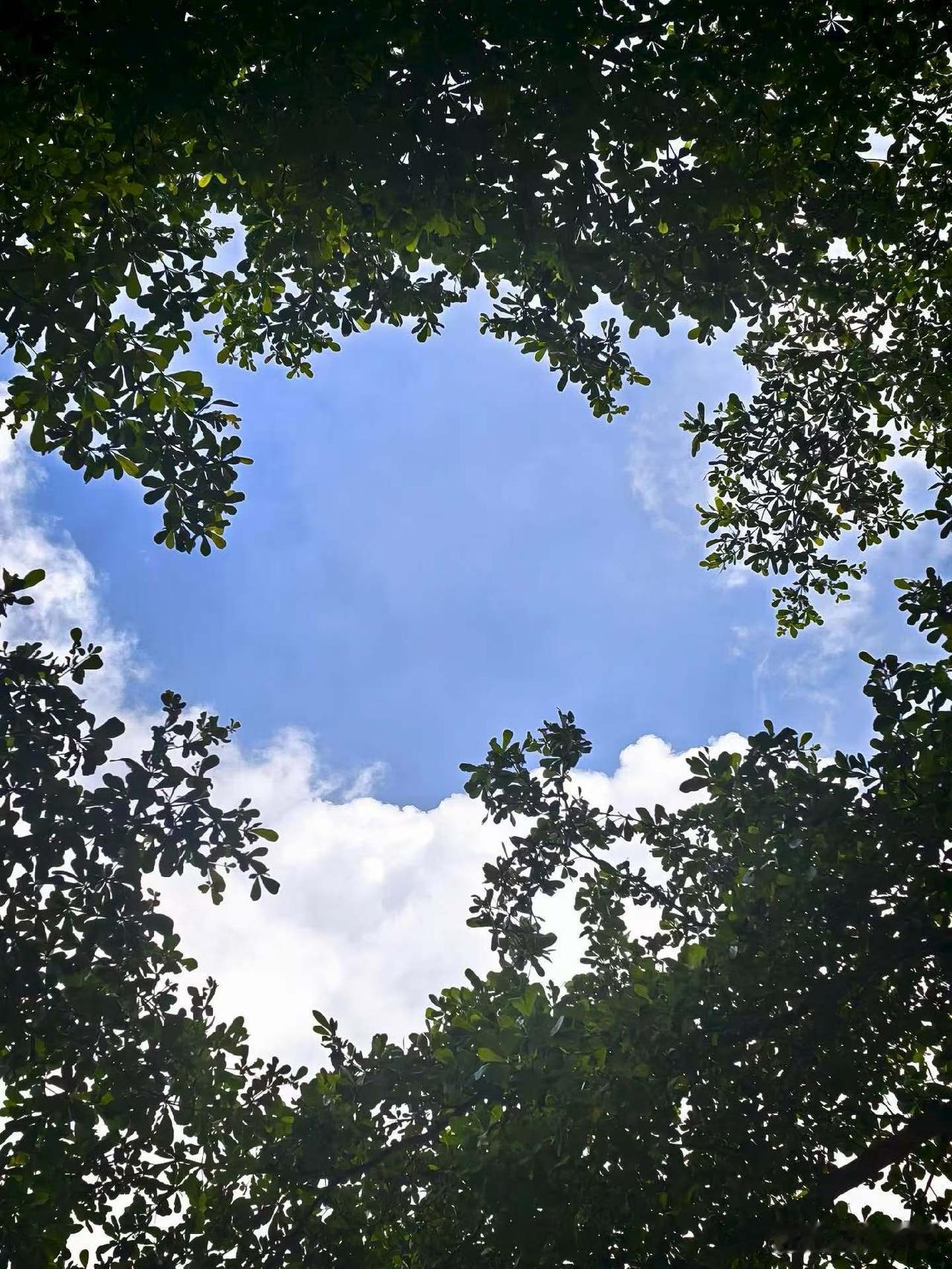 老公上十天班，断断续续休四天，完全没上班的动力
 
 
算一算，十天才实际上六天